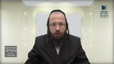 עלייה לתורה בפרשת התוכחה- תכ"ח ו' - ז'