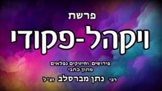 פרשת ויקהל -פקודי