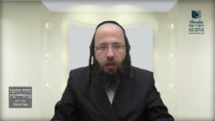באיזה אופן מועיל כפיית כלי על חמץ ללא צורך במחיצה?-