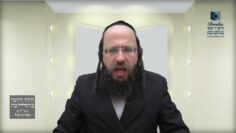 בדיקת חמץ בדירה שכורה- תל"ז א'