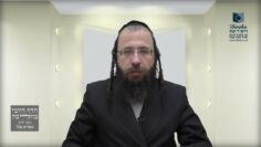 ביטול חמץ על ידי שליח- תל"ד ד'