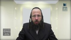 גוי שנכנס בפסח לבית היהודי וחמץ בידו- ת"מ ב'