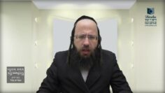 האם צריך לבדוק דירה שהושכרה לאחר זמן בדיקת החמץ?- תל"ז