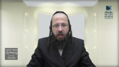 האם צריך לשרוף חמץ שנפסל מאכילת אדם?- תמ"ב ב'