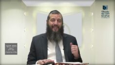 הדף היומי ירושלמי מסכת יבמות דף כו