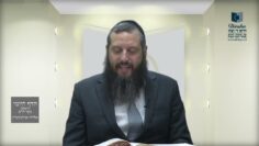 הדף היומי ירושלמי מסכת יבמות דף כט