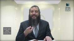 הדף היומי ירושלמי מסכת יבמות דף ל