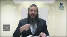 הדף היומי ירושלמי מסכת יבמות דף לא