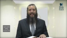הדף היומי ירושלמי מסכת יבמות דף לו