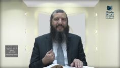הדף היומי ירושלמי מסכת יבמות דף מ