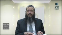 הדף היומי ירושלמי מסכת יבמות דף מב
