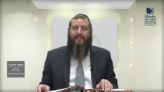 הדף היומי ירושלמי מסכת יבמות דף מג