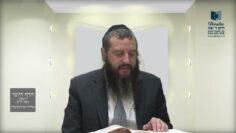 הדף היומי ירושלמי מסכת יבמות דף מה