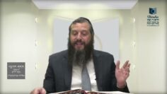 הדף היומי ירושלמי מסכת יבמות דף נ
