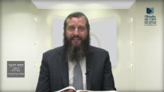 הדף היומי ירושלמי מסכת יבמות דף נא