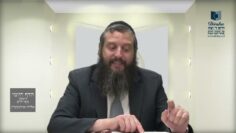 הדף היומי ירושלמי מסכת יבמות דף נג