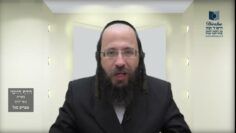 הדף היומי מסכת בכורות דף ב