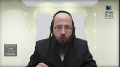 הדף היומי מסכת בכורות דף ג