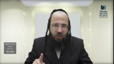 הדף היומי מסכת בכורות דף ד