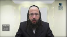 הדף היומי מסכת בכורות דף ו