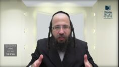 הדף היומי מסכת בכורות דף ח