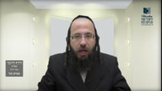 הדף היומי מסכת בכורות דף טו