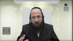 הדף היומי מסכת בכורות דף טז