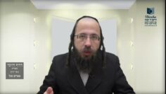הדף היומי מסכת בכורות דף י