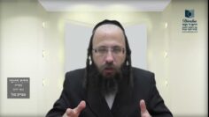הדף היומי מסכת בכורות דף יא