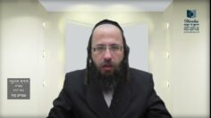 הדף היומי מסכת בכורות דף יב