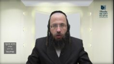 הדף היומי מסכת בכורות דף יג
