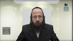 הדף היומי מסכת בכורות דף יד