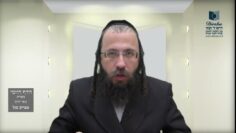 הדף היומי מסכת חולין דף קל