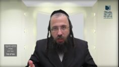 הדף היומי מסכת חולין דף קלא