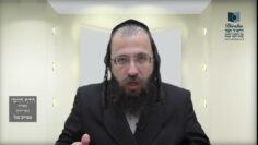 הדף היומי מסכת חולין דף קלג