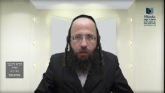 הדף היומי מסכת חולין דף קמ