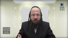 חמץ של גוי המופקד אצל יהודי- ת"מ א'