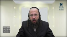 חמץ של גוי הממושכן אצל יהודי בפסח- תמ"א ב'
