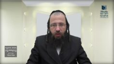 כמה אנשים יכולים לבדוק חמץ בבית אחד?- תל"ב