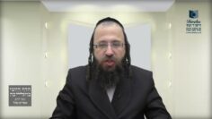 מדוע בודקים את החמץ בלילה?- ת"ל תל"א א'