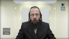 מדוע צריכים לבדוק חמץ לאור הנר?- תל"ג א' - ג'
