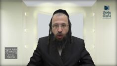 ממה צריכים להיזהר לאחר בדיקת חמץ?- תל"ד א' - ג'