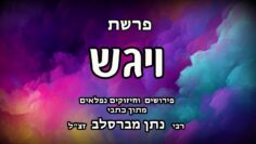 פרשת ויגש