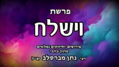 פרשת וישלח