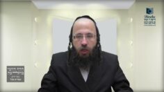 תינוק שנכנס עם לחם לבית בדוק ונמצאו פירורים- תל"ח