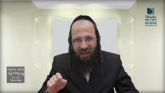 כיצד על אדם לנהוג בערב פסח עם חמץ של חברו
