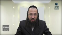 בחר מדוע נהגו לקיים ביעור חמץ דווקא בשריפה?- תמ"ה א'