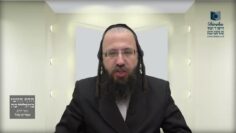 האם מותר לסופר לכתוב בפסח בדיו העשוי מחמץ ?- תמ"ב