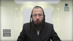 האם מותר לשתות בפסח יין שנפל לתוכו לחם ?- תמ"ז