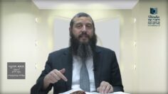 הדף היומי ירושלמי מסכת יבמות דף מא
